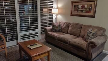 TV, fireplace, DVD player