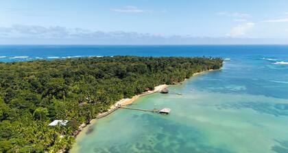 Jungle House 100m to Beach for 4 people. Starlink + Kayaks. 5 mins to Zapatillas