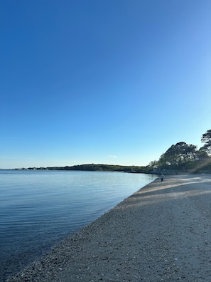 A pebbled beach with calm water, a clear sky, and a distant tree-covered hill.