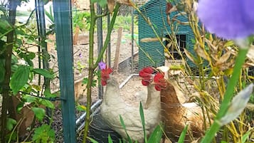 Enceinte de lâhĂ©bergement