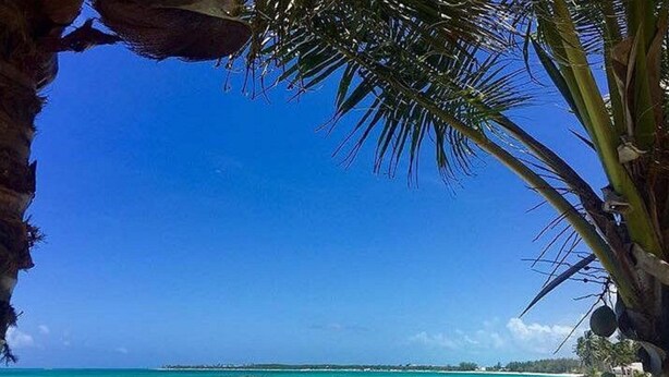 A beach with clear turquoise water, white sand, and palm trees.