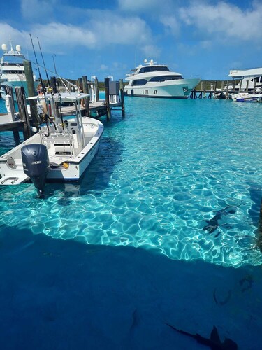 Charming 2bedroom cottage with AC, WiFi,Two-minute walk to beach.Island getaway!