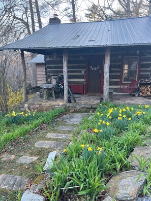 Exterior - 100 year old cabin with AC, WiFi in Linville Falls (Newland)