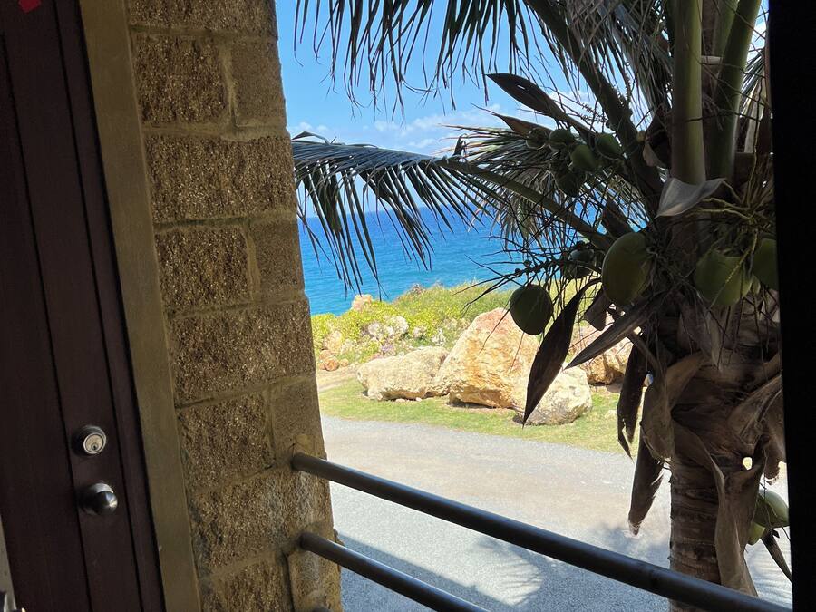 A view through a doorway with a stone wall, a palm tree, and a clear blue sky.