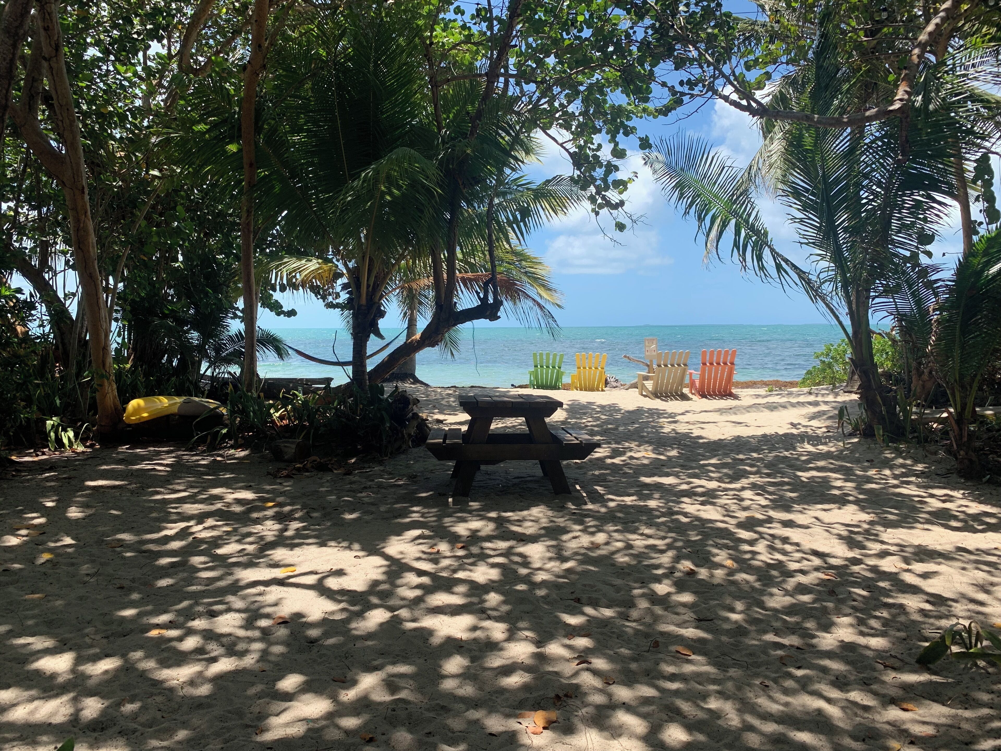 A beach with a wooden bench and colorful beach chairs, surrounded by palm trees and a view of the ocean.