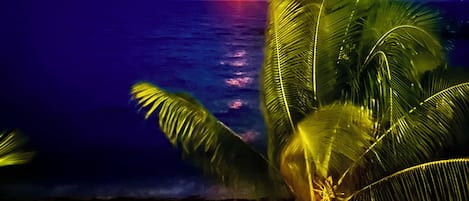 Studio, Sea View | View from room