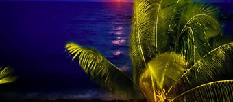 ฟินกา บีชฟรอนต์ ทรี เฮาส์