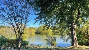 A serene lakeside setting with trees and grassy areas. - Pondhaven Rereat Fully furnished house with fun and convenience for all ages (Farmington)