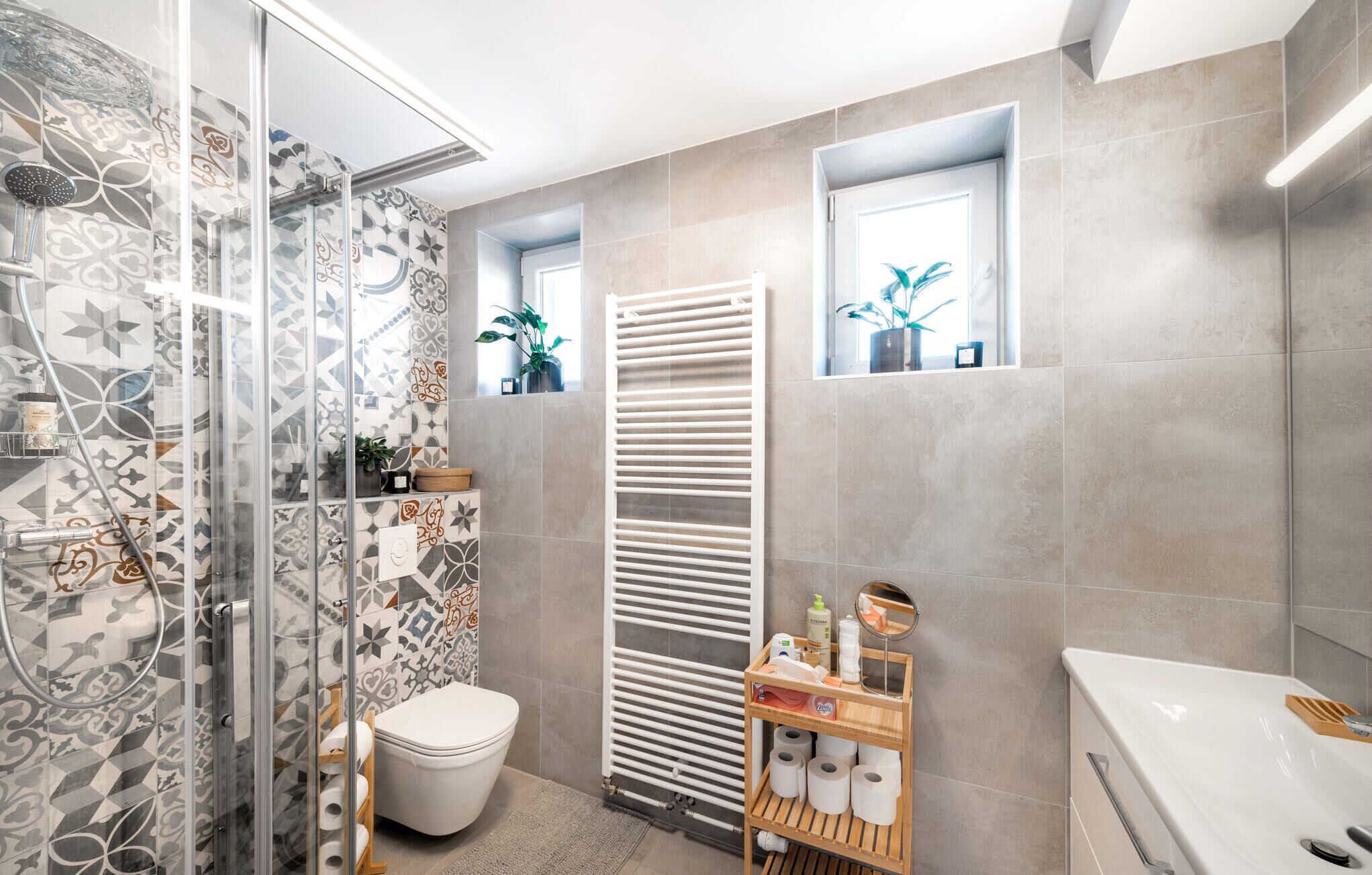Shower, hair dryer