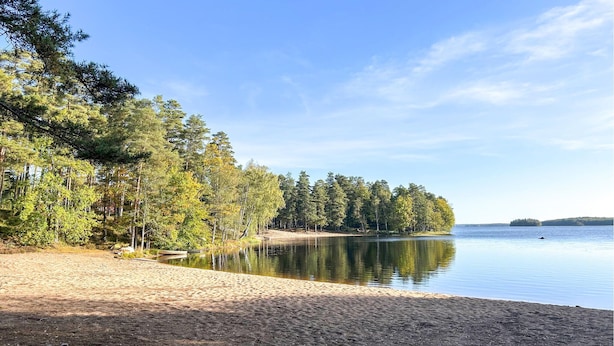 Une plage au rivage sablonneux, aux eaux calmes et bordée d’une végétation dense.