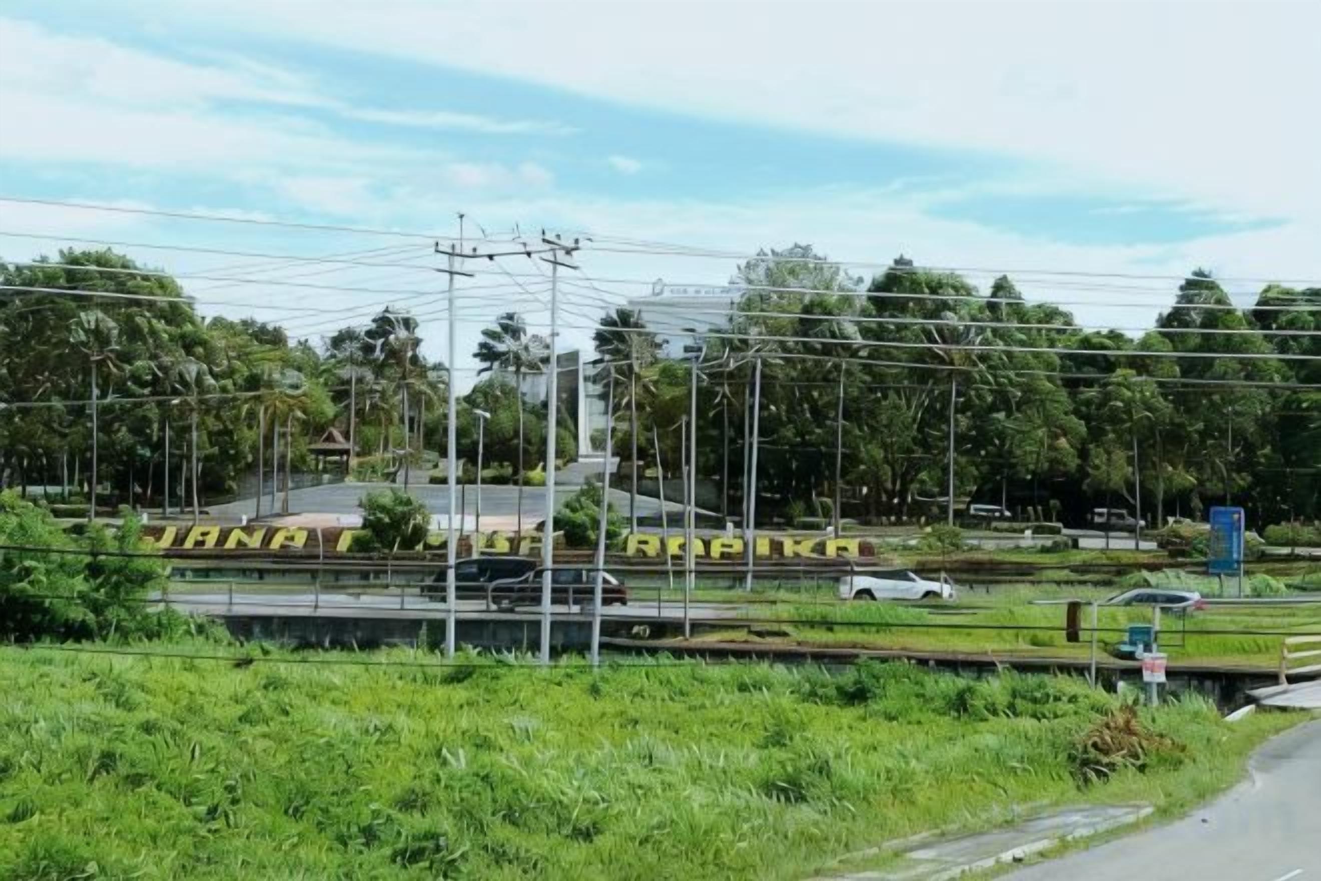 A railway crossing with overhead lines, a road with vehicles, and greenery in the background.