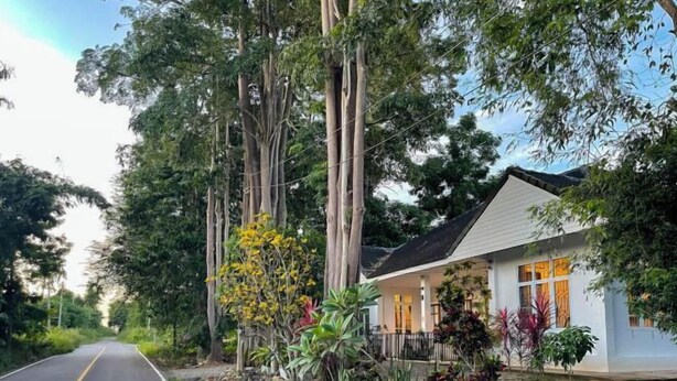A two-story house with a white exterior and a dark roof, surrounded by lush greenery and tall trees. - Silpasom ARTstay Suratthani (Phunphin)