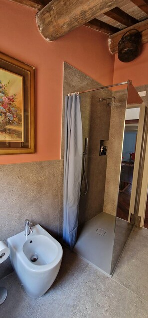 Ducha, secador de pelo, bidet, toallas