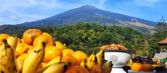 Imah Kayu by Horison