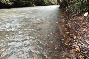Un río con aguas cristalinas, rodeado de rocas y vegetación.