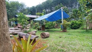 Un jardin avec des arbres, une tonnelle bleue et des troncs d’arbres.