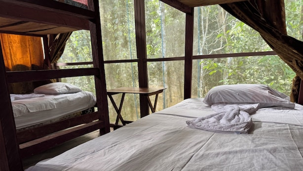 A room with bunk beds and a single bed, wooden furniture, and large windows with a forest view. - ESTACIÓN BIOLÓGICA SMF II ZONA (Indiana)