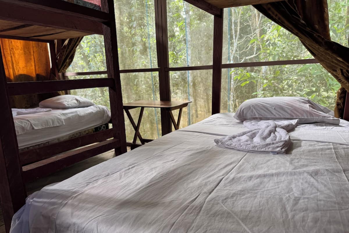 Una habitación con literas y una cama individual, muebles de madera y ventanas amplias con vistas al bosque.