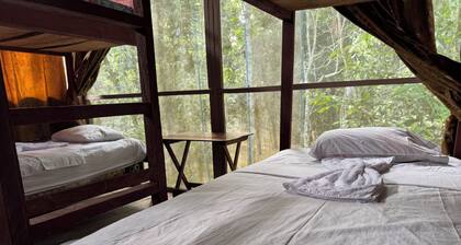 ESTACIÓN BIOLÓGICA SMF II ZONA