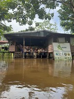 Classic Bungalow, Garden View | View from room