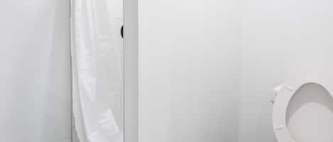 Shower, towels, toilet paper