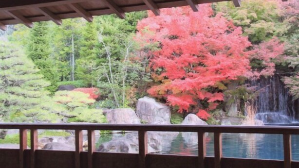 A wooden deck overlooking a pond with a waterfall and autumn-colored foliage. - WholeHouse　Himeji (Himeji)