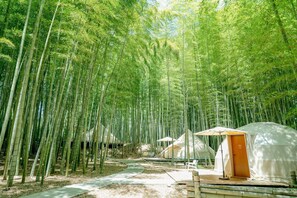 Exterior - The Bamboo Forest (Ichihara)