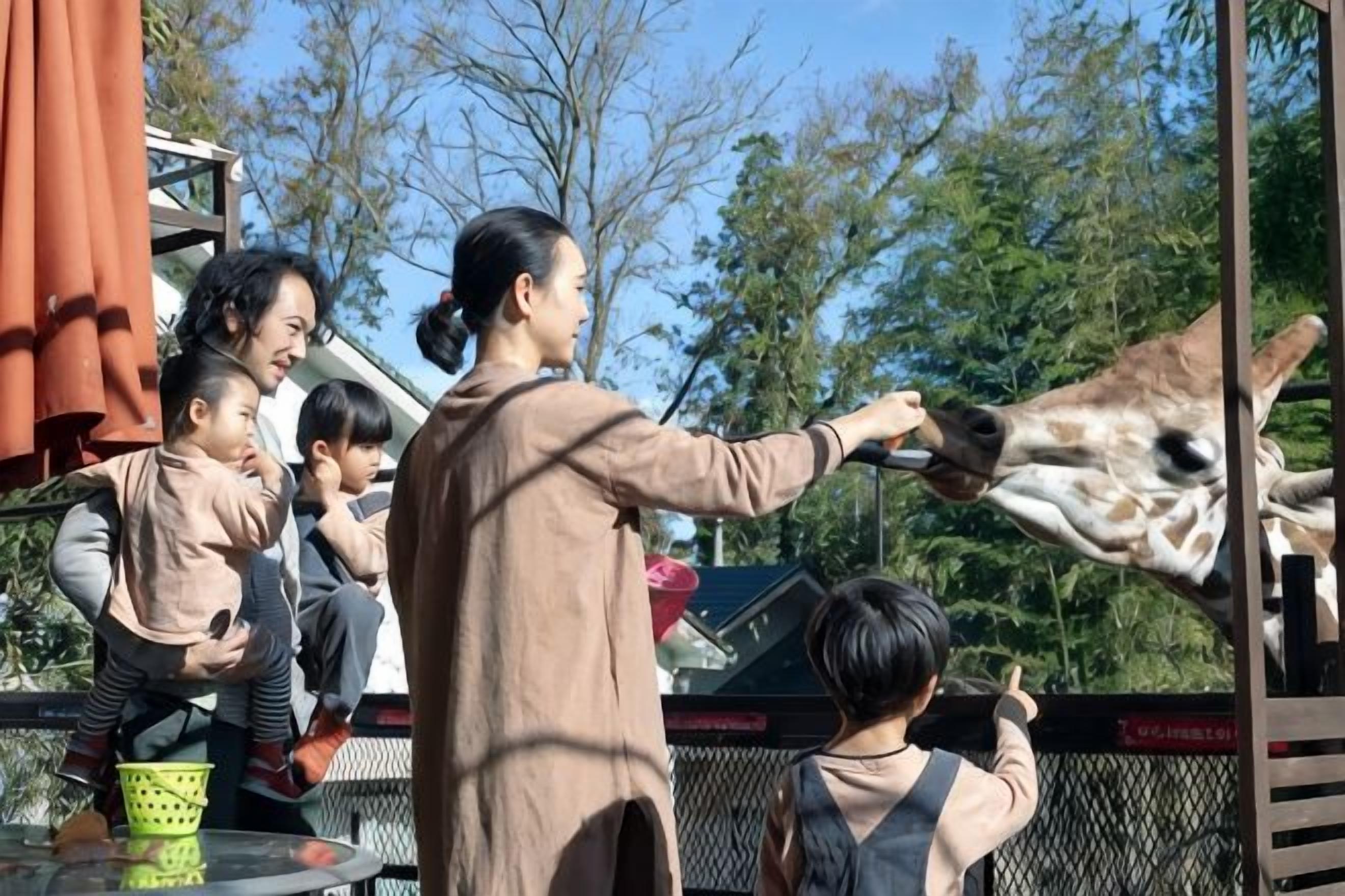 Un grupo de personas alimentando a una jirafa en un recinto de zoológico.