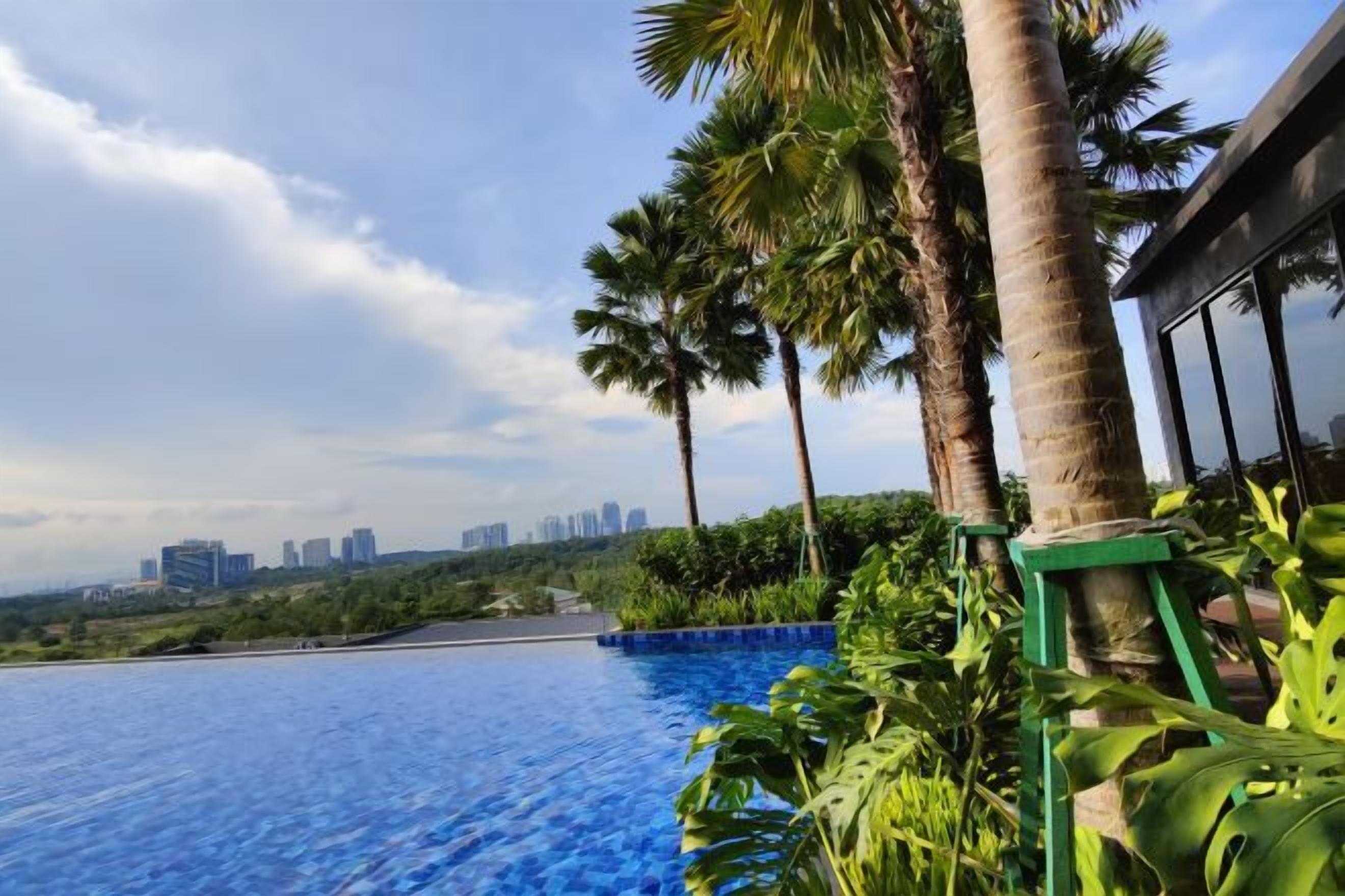 A swimming pool with a city skyline in the background, surrounded by palm trees and greenery.