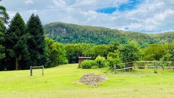 A grassy field with a wooden fence, a small building, and dense forest in the background.