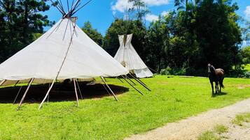 Two white teepees with a horse in the background.