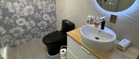 Dusche, Haartrockner, HandtĂŒcher, Seife