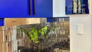 Un interior moderno con una pared azul, una vitrina de vidrio y un separador metálico con una planta.