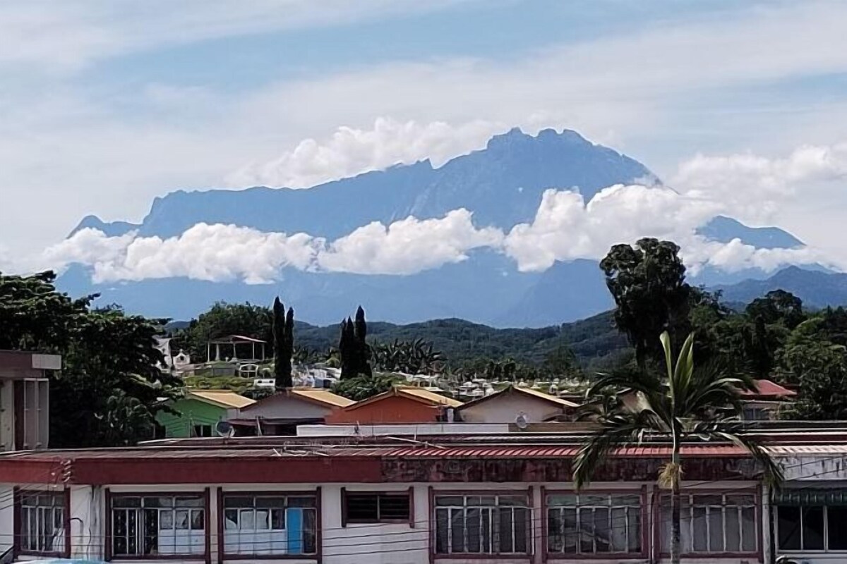 A residential area with houses and a mountain in the background.