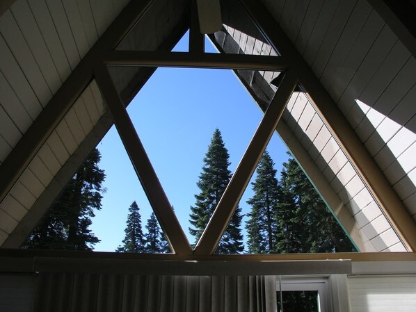 Unclassified image, 1 of 18, button