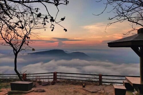 Pitifarmily Cafe & Camping