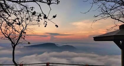 Pitifarmily Cafe & Camping