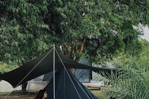 Unclassified image, 5 of 24, button - Pitifarmily Cafe & Camping (Kantharalak)
