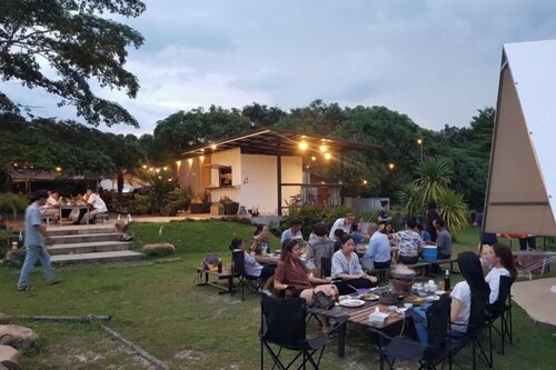 Pitifarmily Cafe & Camping