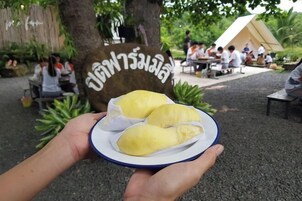 Uma pessoa segurando um prato com dois doces amarelos, em ambiente externo, com uma placa de madeira e pessoas almoçando ao fundo.
