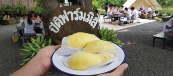 Pitifarmily Cafe & Camping