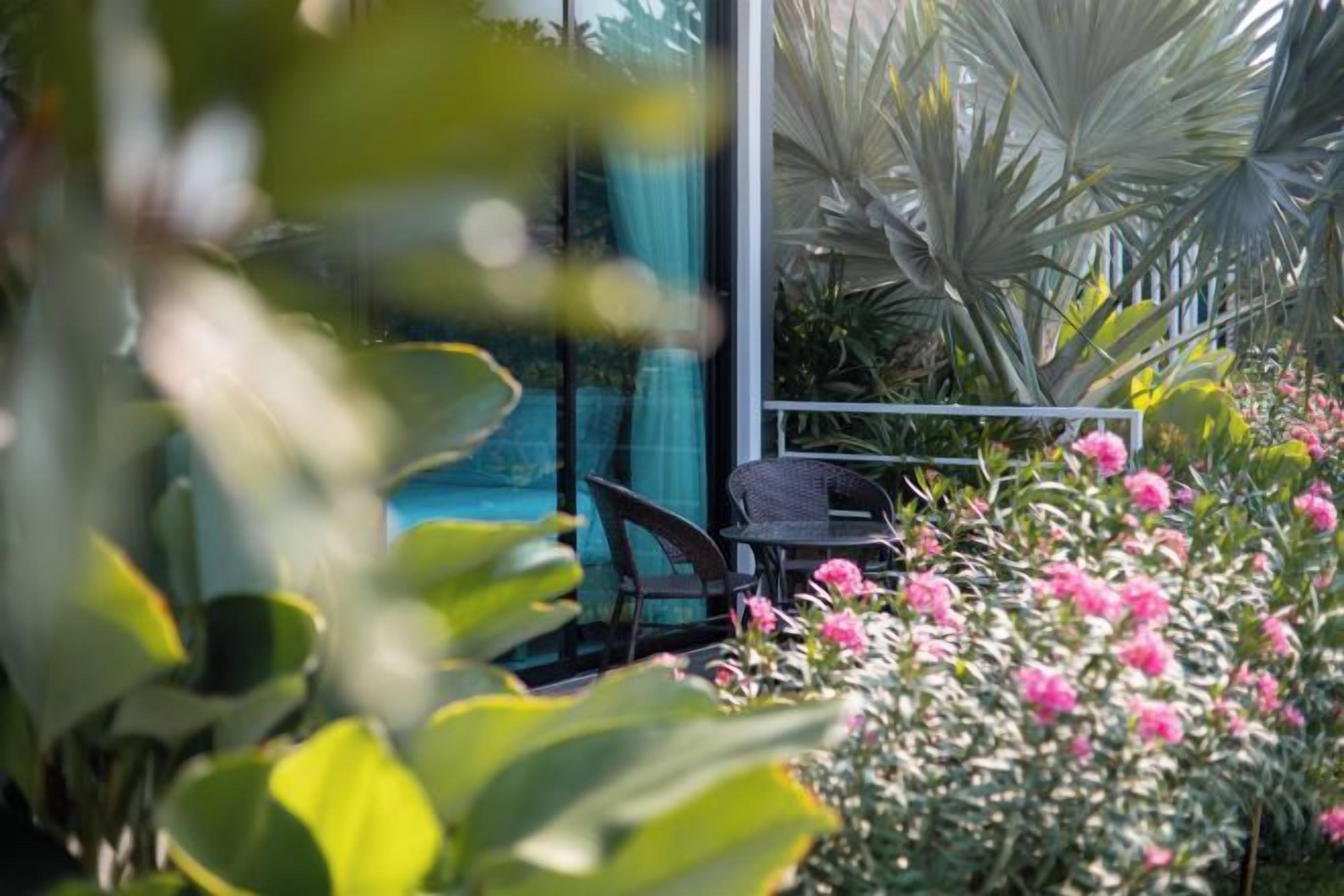Un área de patio con una mesa y sillas, rodeada de abundante follaje y plantas con flores.