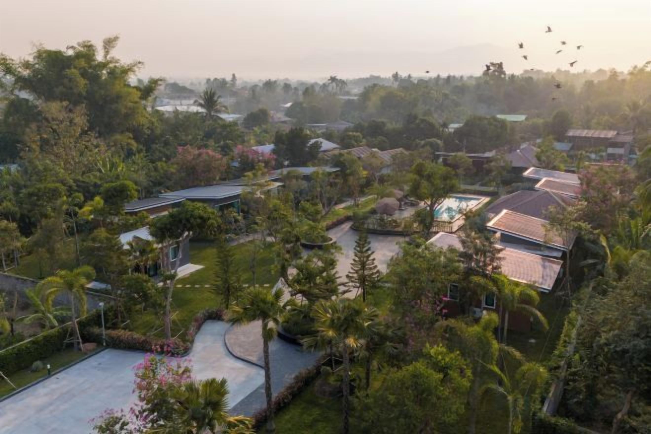 Un quartier résidentiel comprenant plusieurs maisons, une piscine et une végétation luxuriante.