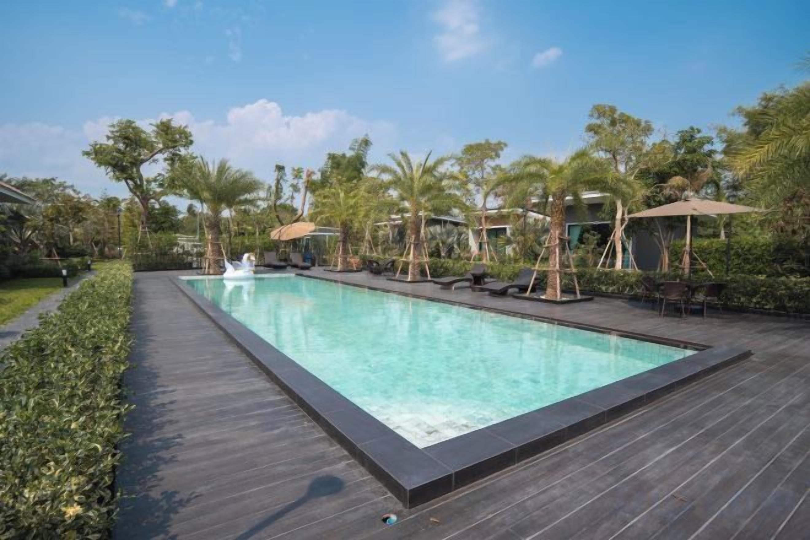 A rectangular swimming pool with a dark wooden deck, surrounded by palm trees and lounge chairs.