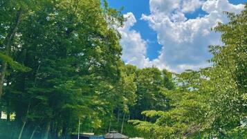 A serene outdoor area with trees and a gazebo.