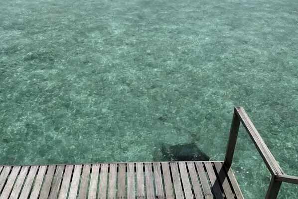 A wooden pier extending into clear turquoise water. - Sisipan Island Water Resort (Semporna)
