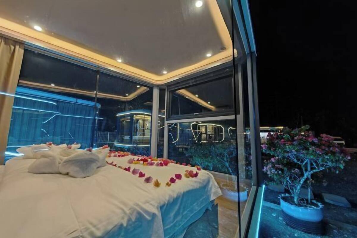 A modern bedroom with a glass ceiling, a neatly made bed, and a view of the night sky and a garden outside.