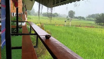 Khuôn viên nơi lưu trú