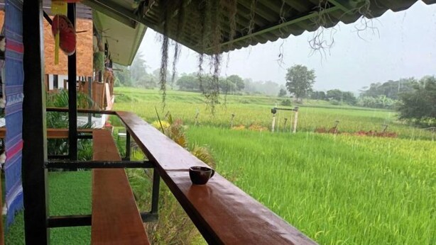A wooden bench with a cup, overlooking a lush green field.