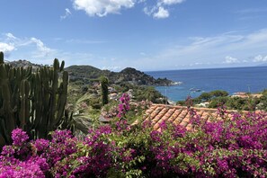 Miscellaneous - Only 450 meters from Cotoncello Beach, this apartment is located in an extraordinary setting, offering a stunning sea view and the perfect atmosphere for those seeking peace and relaxation.This part of the island remains wild and authentic, characterized (Sant'Andrea)